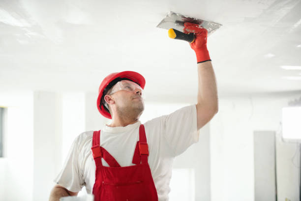 Reliable Hudson Oaks, TX Mold Removal Solutions